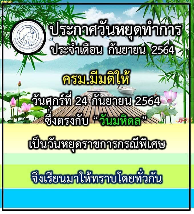451129035 n